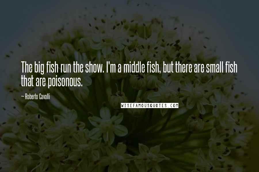 Roberto Cavalli quotes: The big fish run the show. I'm a middle fish, but there are small fish that are poisonous.