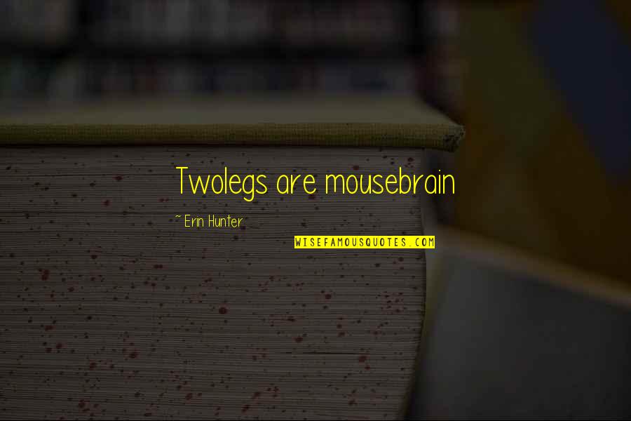 Roberto Clemente Famous Quotes By Erin Hunter: Twolegs are mousebrain Roberto Clemente Famous Quotes By Erin Hunter: Twolegs are mousebrain