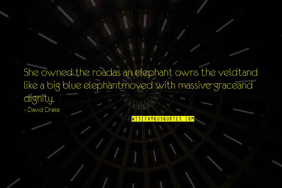 Robertshaw Gas Quotes By David Drake: She owned the roadas an elephant owns the Robertshaw Gas Quotes By David Drake: She owned the roadas an elephant owns the