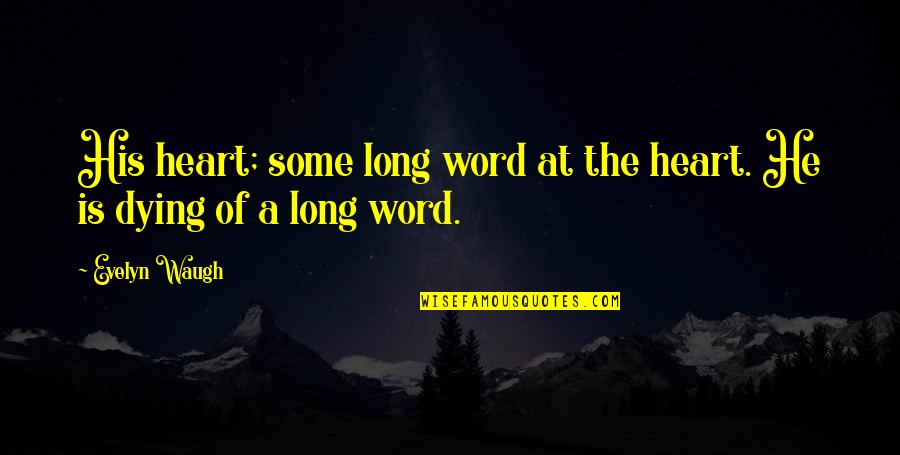 Robeus Quotes By Evelyn Waugh: His heart; some long word at the heart.