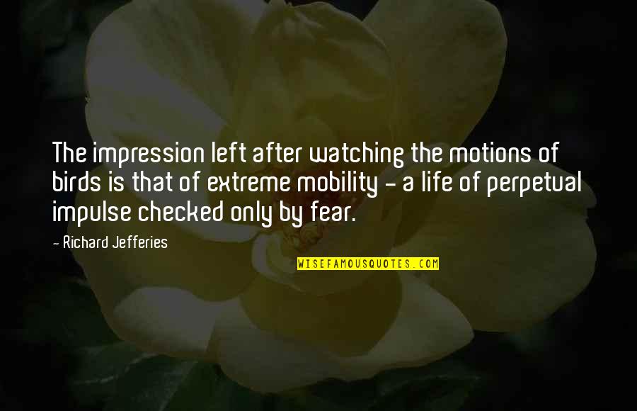 Robilee Jo Quotes By Richard Jefferies: The impression left after watching the motions of Robilee Jo Quotes By Richard Jefferies: The impression left after watching the motions of