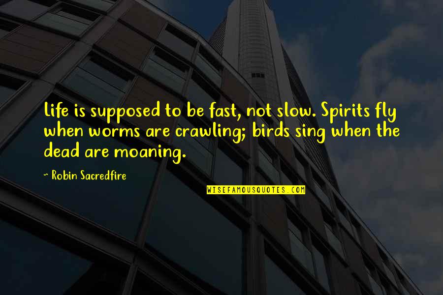 Robin Birds Quotes By Robin Sacredfire: Life is supposed to be fast, not slow. Robin Birds Quotes By Robin Sacredfire: Life is supposed to be fast, not slow.