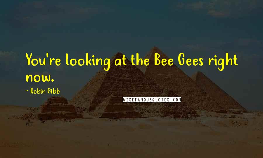Robin Gibb quotes: You're looking at the Bee Gees right now.