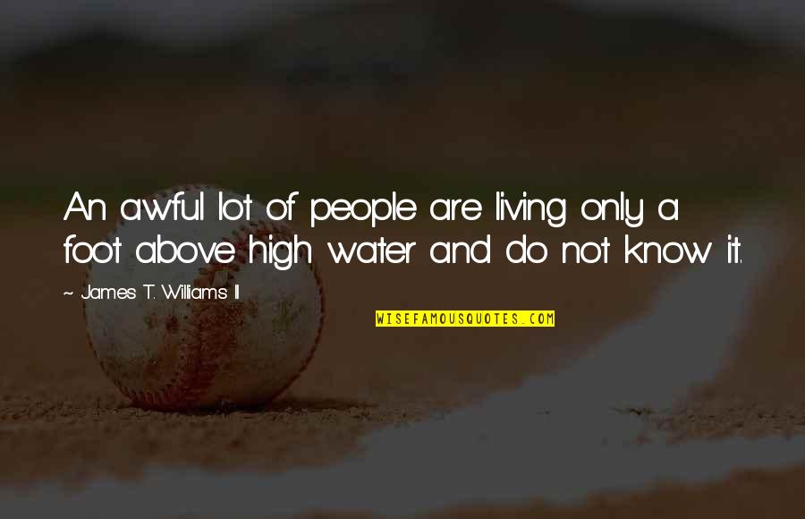 Robin Hood Disney Quotes By James T. Williams II: An awful lot of people are living only