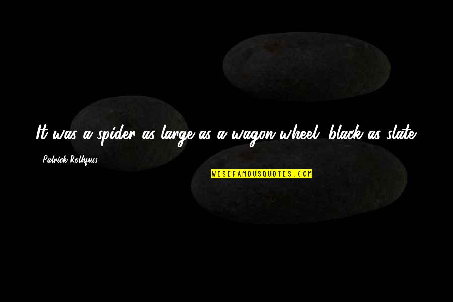 Robin Kelley Quotes By Patrick Rothfuss: It was a spider as large as a Robin Kelley Quotes By Patrick Rothfuss: It was a spider as large as a