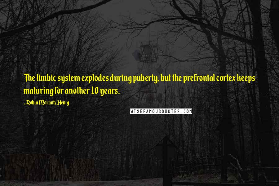 Robin Marantz Henig quotes: The limbic system explodes during puberty, but the prefrontal cortex keeps maturing for another 10 years.