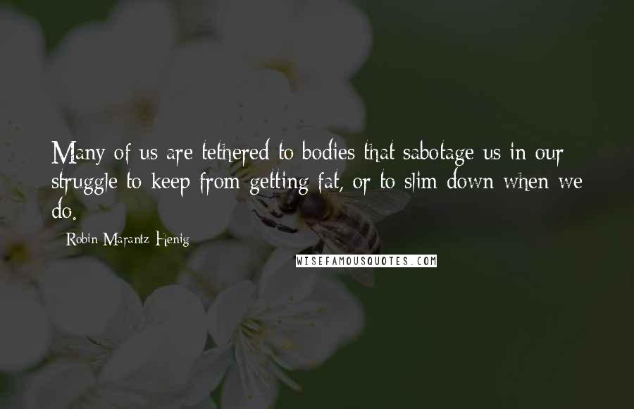 Robin Marantz Henig quotes: Many of us are tethered to bodies that sabotage us in our struggle to keep from getting fat, or to slim down when we do.