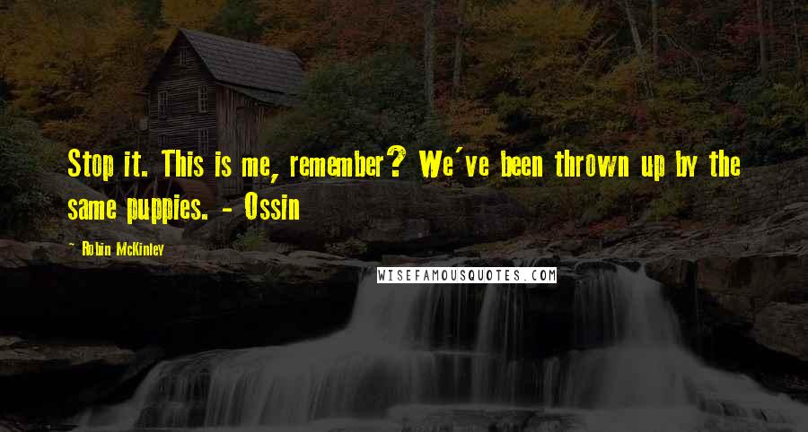 Robin McKinley quotes: Stop it. This is me, remember? We've been thrown up by the same puppies. - Ossin