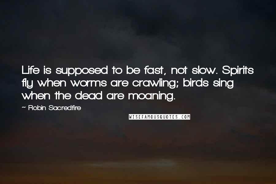 Robin Sacredfire quotes: Life is supposed to be fast, not slow. Spirits fly when worms are crawling; birds sing when the dead are moaning. Robin Sacredfire quotes: Life is supposed to be fast, not slow. Spirits fly when worms are crawling; birds sing when the dead are moaning.