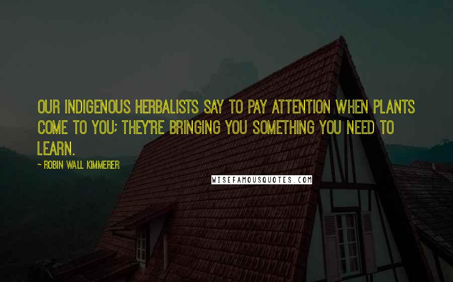 Robin Wall Kimmerer quotes: Our indigenous herbalists say to pay attention when plants come to you; they're bringing you something you need to learn.