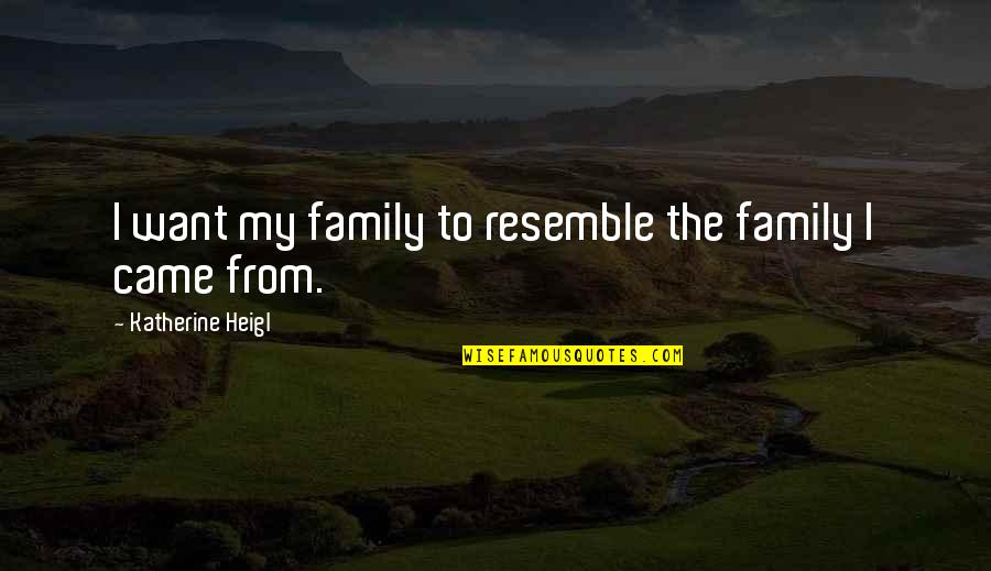 Robin Williams Dyslexia Quotes By Katherine Heigl: I want my family to resemble the family Robin Williams Dyslexia Quotes By Katherine Heigl: I want my family to resemble the family