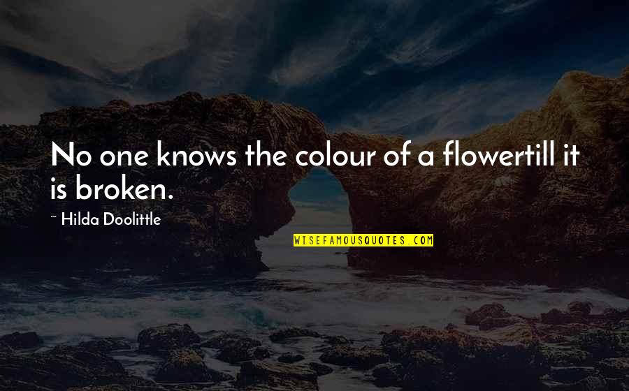 Robusteza Quotes By Hilda Doolittle: No one knows the colour of a flowertill