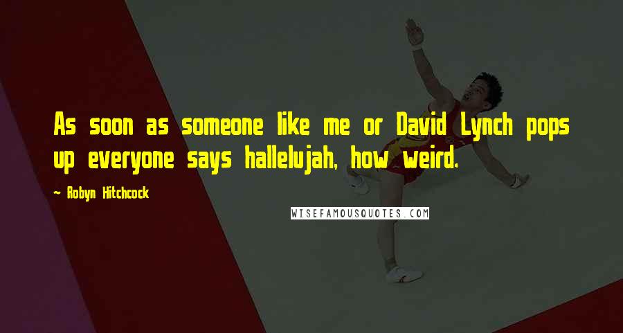 Robyn Hitchcock quotes: As soon as someone like me or David Lynch pops up everyone says hallelujah, how weird.