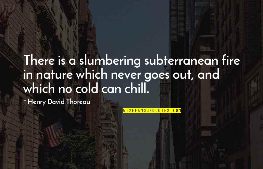 Robynfee Quotes By Henry David Thoreau: There is a slumbering subterranean fire in nature