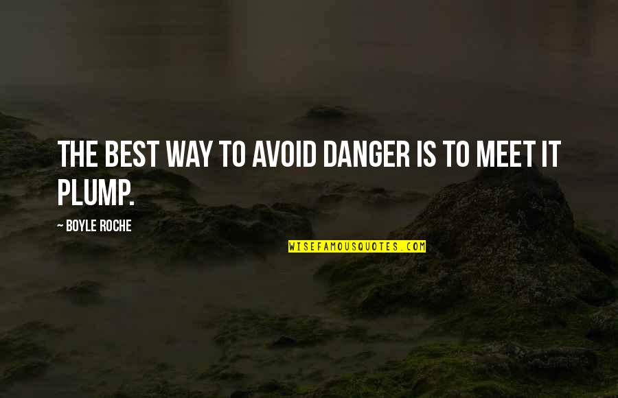 Roche Quotes By Boyle Roche: The best way to avoid danger is to