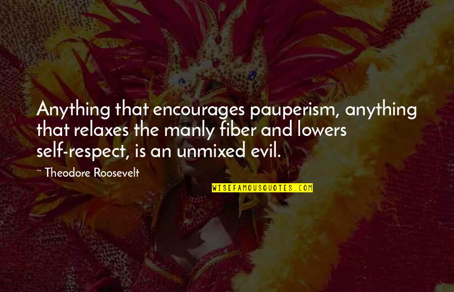 Rochefoucauld Exercice Quotes By Theodore Roosevelt: Anything that encourages pauperism, anything that relaxes the