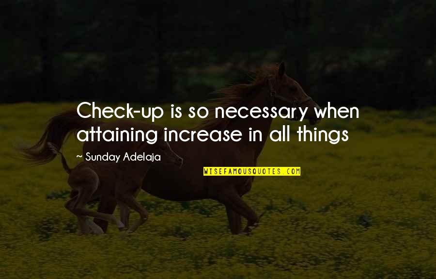 Rock Cairns Quotes By Sunday Adelaja: Check-up is so necessary when attaining increase in Rock Cairns Quotes By Sunday Adelaja: Check-up is so necessary when attaining increase in