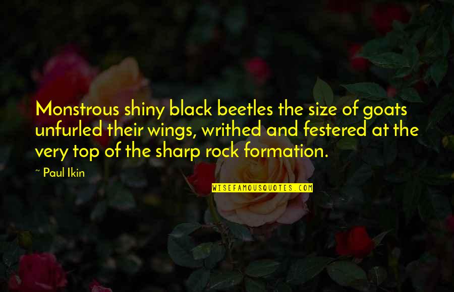 Rock Formation Quotes By Paul Ikin: Monstrous shiny black beetles the size of goats