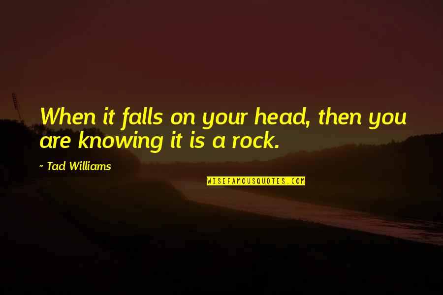 Rock On Quotes By Tad Williams: When it falls on your head, then you