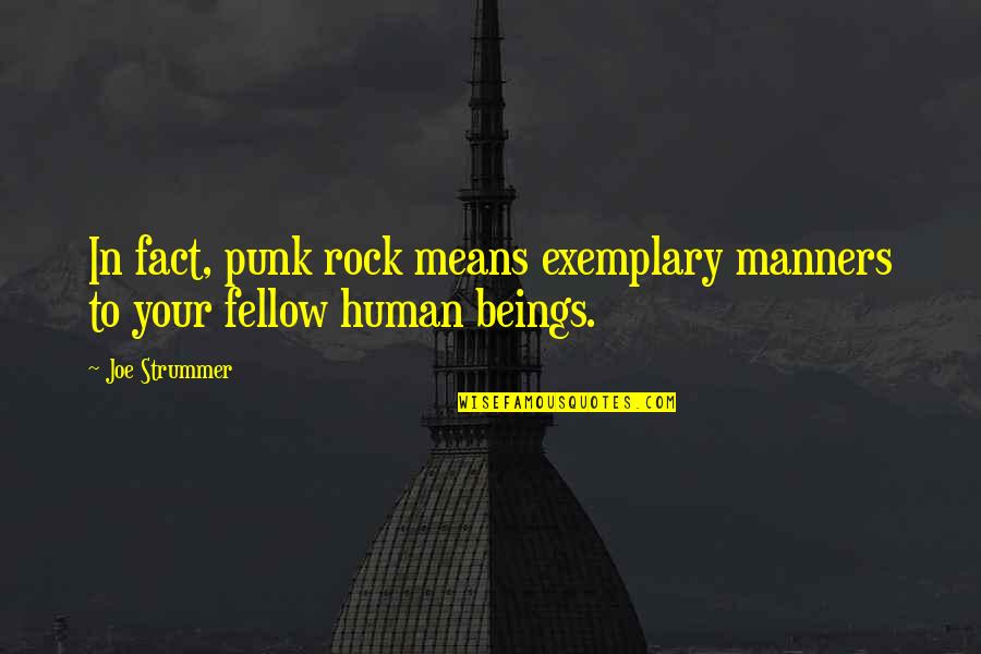 Rock Punk Quotes By Joe Strummer: In fact, punk rock means exemplary manners to