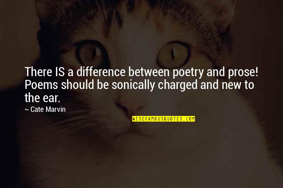 Rocked My World Quotes By Cate Marvin: There IS a difference between poetry and prose!