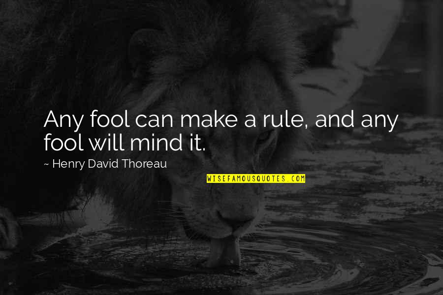 Rockiest Quotes By Henry David Thoreau: Any fool can make a rule, and any