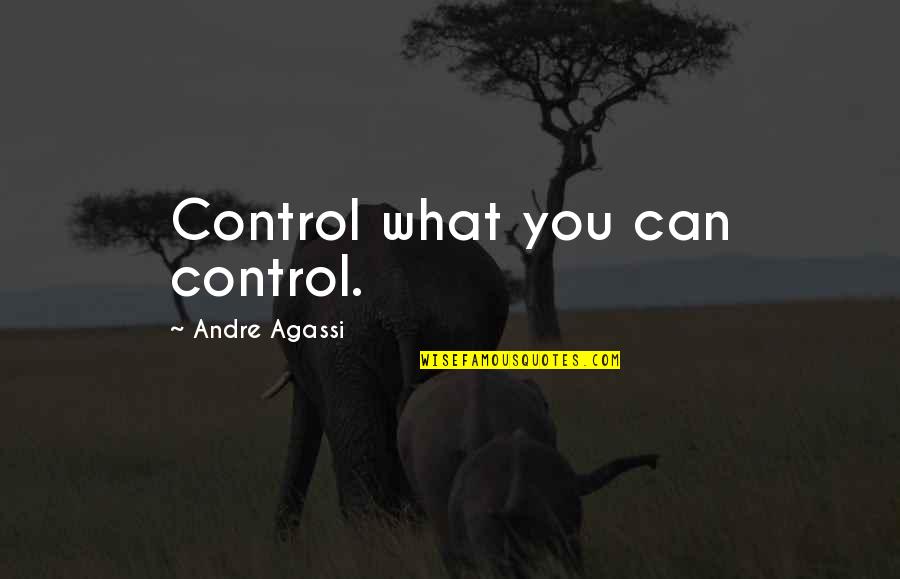 Rockland Gonzalez Chavez Quotes By Andre Agassi: Control what you can control.