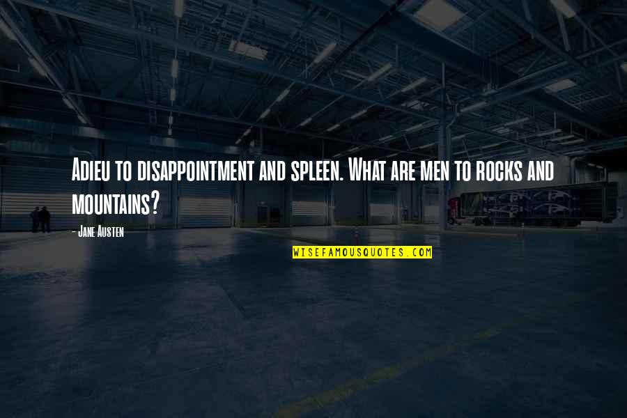 Rocks And Mountains Quotes By Jane Austen: Adieu to disappointment and spleen. What are men