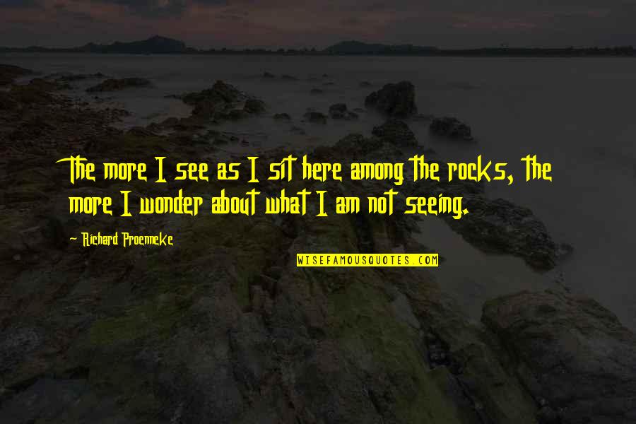 Rocks Quotes By Richard Proenneke: The more I see as I sit here