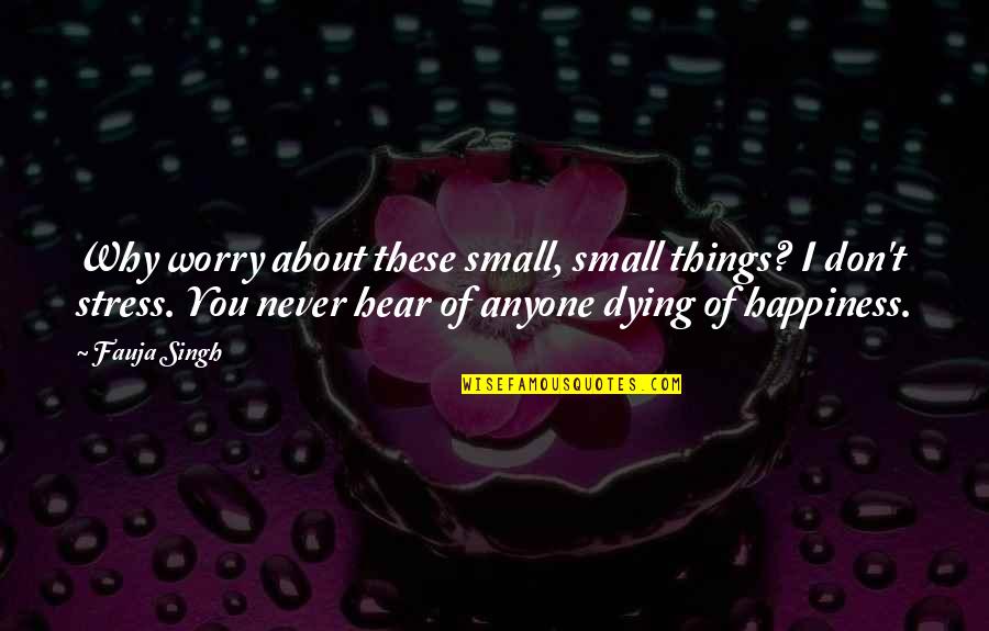 Rocksanne Naeole Quotes By Fauja Singh: Why worry about these small, small things? I Rocksanne Naeole Quotes By Fauja Singh: Why worry about these small, small things? I