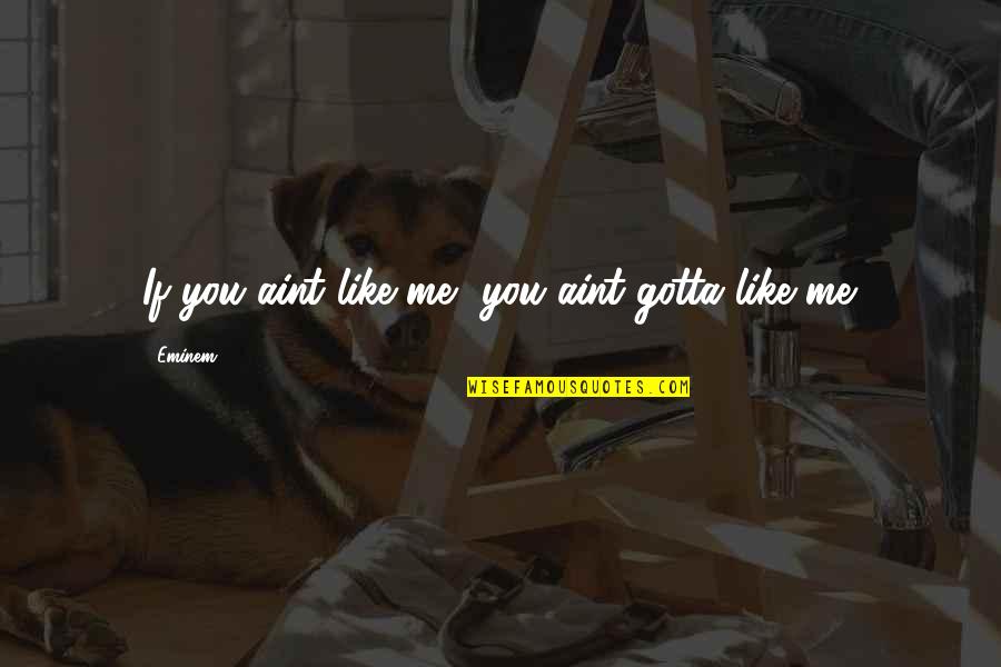 Rockumentary Spoof Quotes By Eminem: If you aint like me, you aint gotta