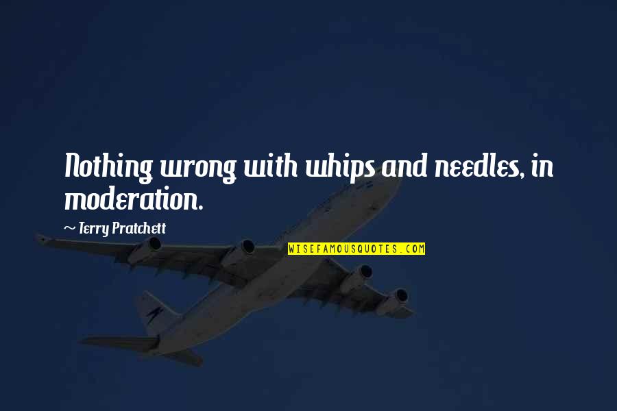 Rocky 3 Adrian Quotes By Terry Pratchett: Nothing wrong with whips and needles, in moderation.