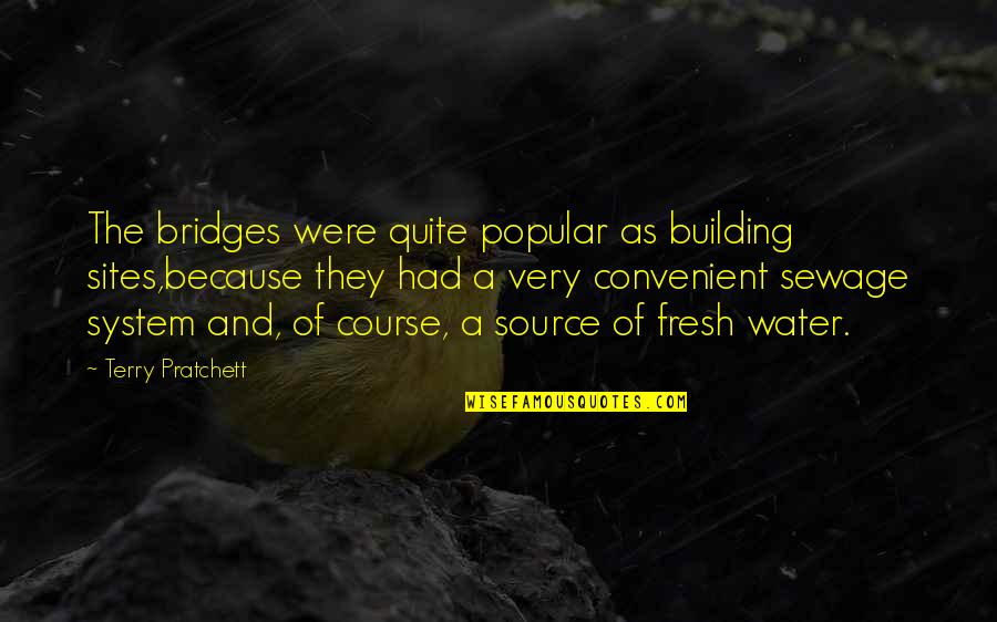 Rocky Friendships Quotes By Terry Pratchett: The bridges were quite popular as building sites,because