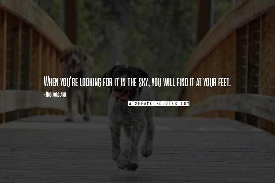 Rod Nordland quotes: When you're looking for it in the sky, you will find it at your feet.