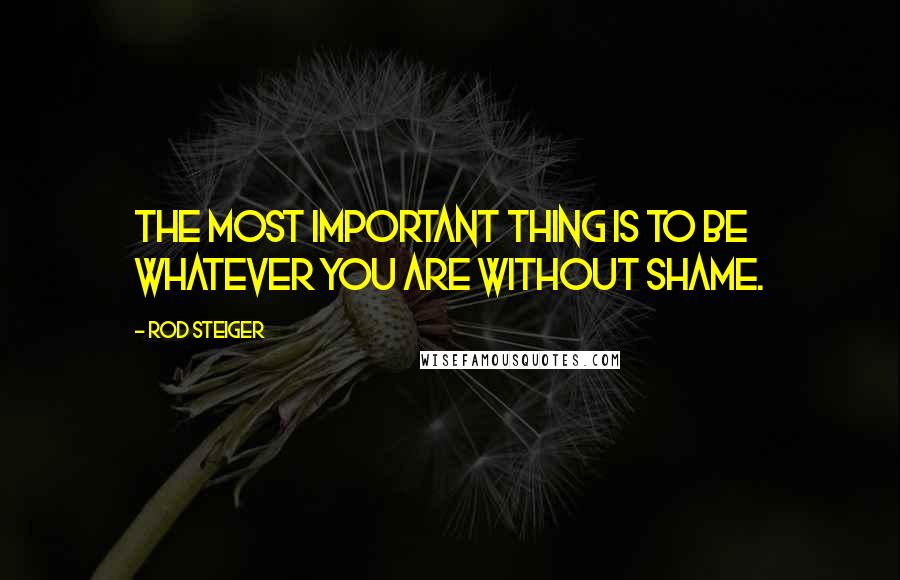 Rod Steiger quotes: The most important thing is to be whatever you are without shame.