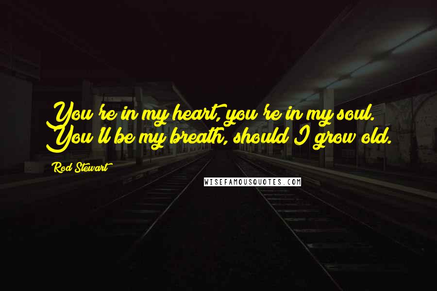 Rod Stewart quotes: You're in my heart, you're in my soul. You'll be my breath, should I grow old.