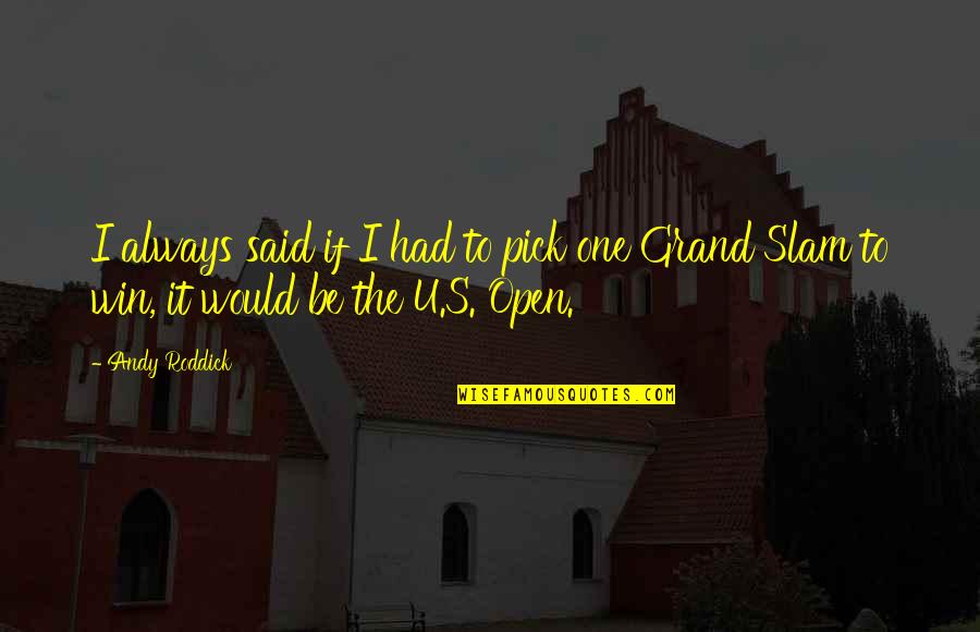 Roddick Andy Quotes By Andy Roddick: I always said if I had to pick