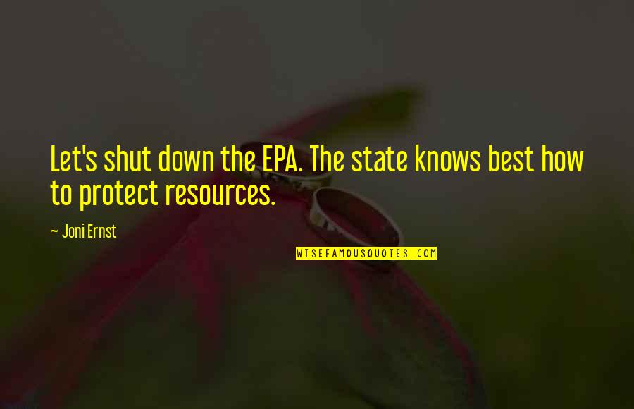 Roddy Moreno Quotes By Joni Ernst: Let's shut down the EPA. The state knows