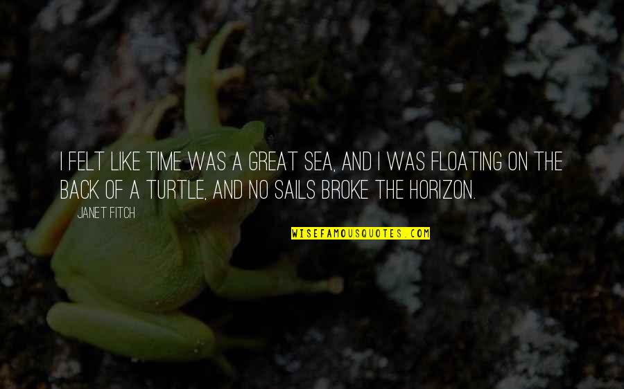 Rodeen Old Quotes By Janet Fitch: I felt like time was a great sea, Rodeen Old Quotes By Janet Fitch: I felt like time was a great sea,