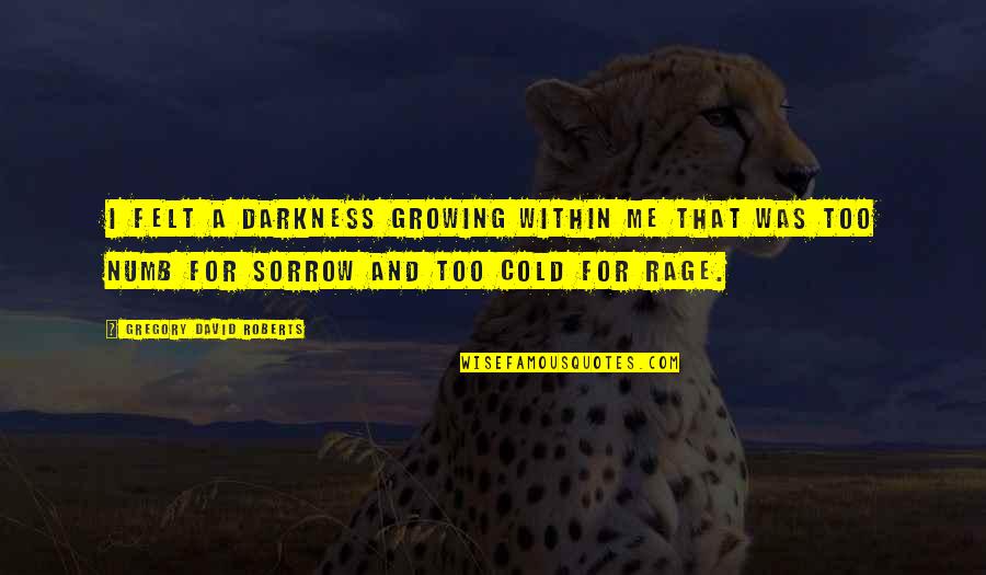 Rodentia Order Quotes By Gregory David Roberts: I felt a darkness growing within me that Rodentia Order Quotes By Gregory David Roberts: I felt a darkness growing within me that