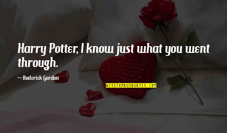 Roderick's Quotes By Roderick Gordon: Harry Potter, I know just what you went
