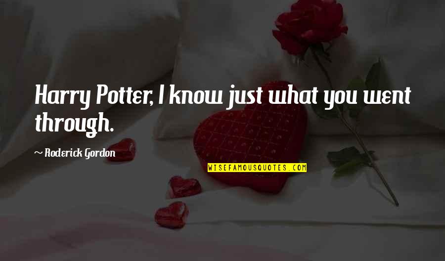 Roderick's Quotes By Roderick Gordon: Harry Potter, I know just what you went Roderick's Quotes By Roderick Gordon: Harry Potter, I know just what you went