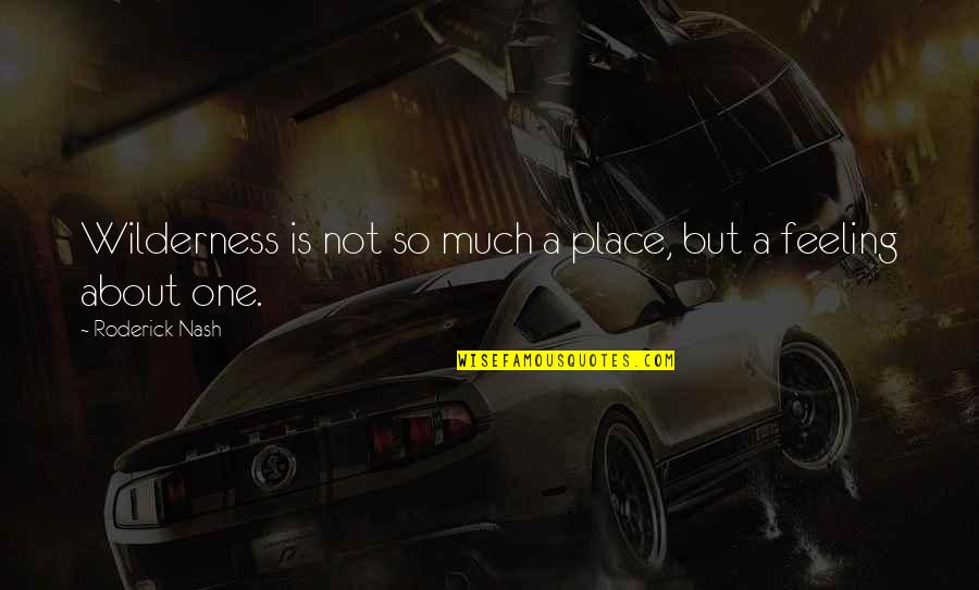 Roderick's Quotes By Roderick Nash: Wilderness is not so much a place, but