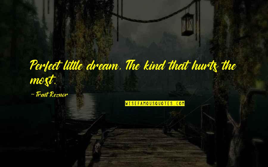 Rodionova Model Quotes By Trent Reznor: Perfect little dream, The kind that hurts the