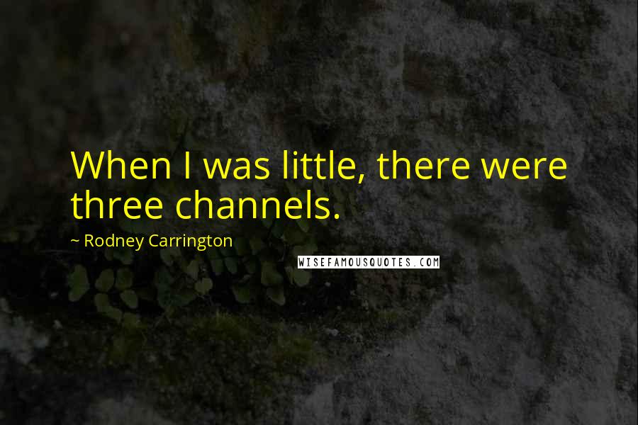 Rodney Carrington quotes: When I was little, there were three channels.