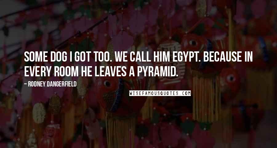 Rodney Dangerfield quotes: Some dog I got too. We call him Egypt. Because in every room he leaves a pyramid.