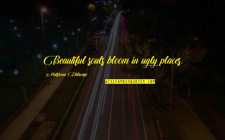 Rodolfo Cadena Quotes By Matshona Dhliwayo: Beautiful souls bloom in ugly places. Rodolfo Cadena Quotes By Matshona Dhliwayo: Beautiful souls bloom in ugly places.