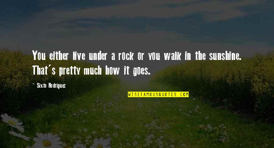 Rodriguez's Quotes By Sixto Rodriguez: You either live under a rock or you Rodriguez's Quotes By Sixto Rodriguez: You either live under a rock or you