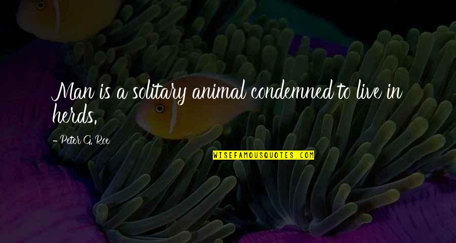 Roe Quotes By Peter G. Roe: Man is a solitary animal condemned to live Roe Quotes By Peter G. Roe: Man is a solitary animal condemned to live