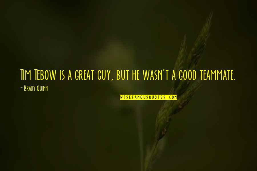 Roeders Monroeville Quotes By Brady Quinn: Tim Tebow is a great guy, but he Roeders Monroeville Quotes By Brady Quinn: Tim Tebow is a great guy, but he